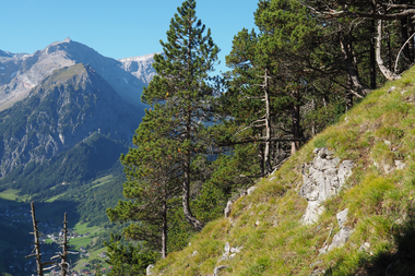 Europaschutzgebiet Spirkenwälder Brandnertal | © RM Europaschutzgebiete Europaschutzgebiet Spirkenwälder Brandnertal | © RM Europaschutzgebiete